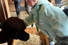 70489f45-d6c0-43f4-8d24-cff2f131576a