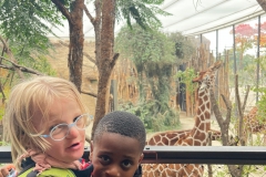 a11a1a84-8dba-4f70-87e3-a88ad6cd4350